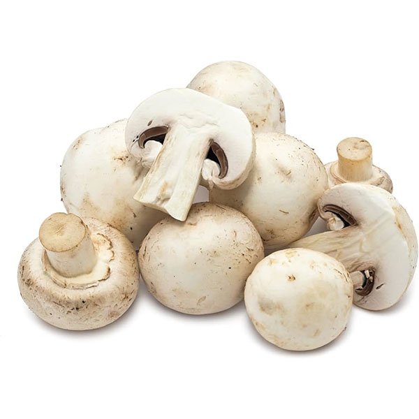 Fresh Mushroom